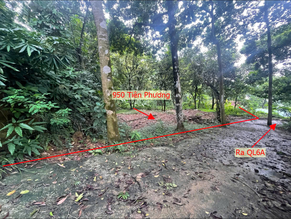 Hình ảnh Bán Thửa Đất 950m Tại Tiên Phương Ô Tô Đỗ Tận Đất Ngay Gần QL6A Đang Triển Khai Mở Rộng 