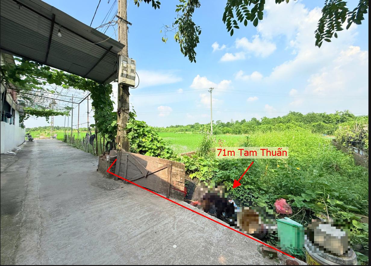Hình ảnh Bán Lô Đất 71m tại Tam Thuấn Phúc Thọ Bám Đường Bê Tông Ô Tô Vào Tận Đất Dân Cư Đông Đúc Thân Thiện Giá Đầu Tư