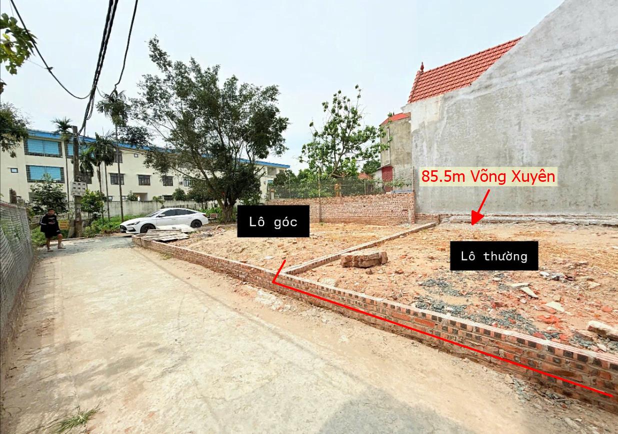Hình ảnh Bán Lô Đất 85.5m Tại Võng Xuyên Phúc Thọ Bám Đường Bê Tông Ô Tô Vào Tận Đất Dân Cư Đông Đúc Thân Thiện Giá Đầu Tư