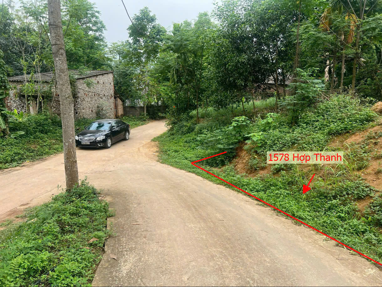 Hình ảnh Bán Đất Hợp Thanh Ô Tô Đỗ Tận Đất Gần Mặt Đường Kinh Doanh QL21A Ngay Trung Tâm Xã Hợp Thanh 