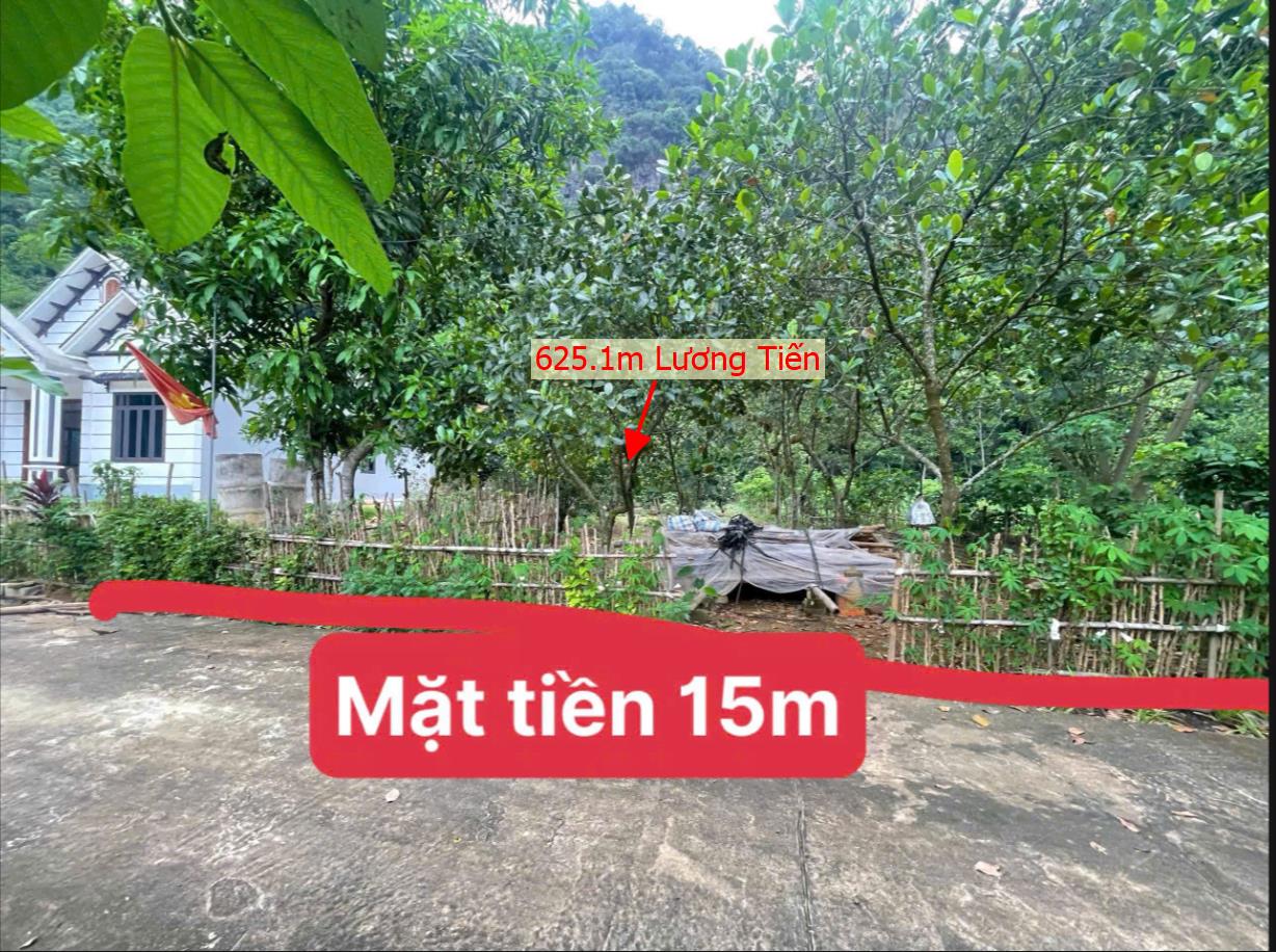 Hình ảnh Bán Lô Đất 625.1m Tại Lạc Lương Yên Thủy Bám Đường Bê Tông Ô Tô Vào Tận Đất Gần Chợ Trường Hjc Ủy Ban Giá Đầu Tư