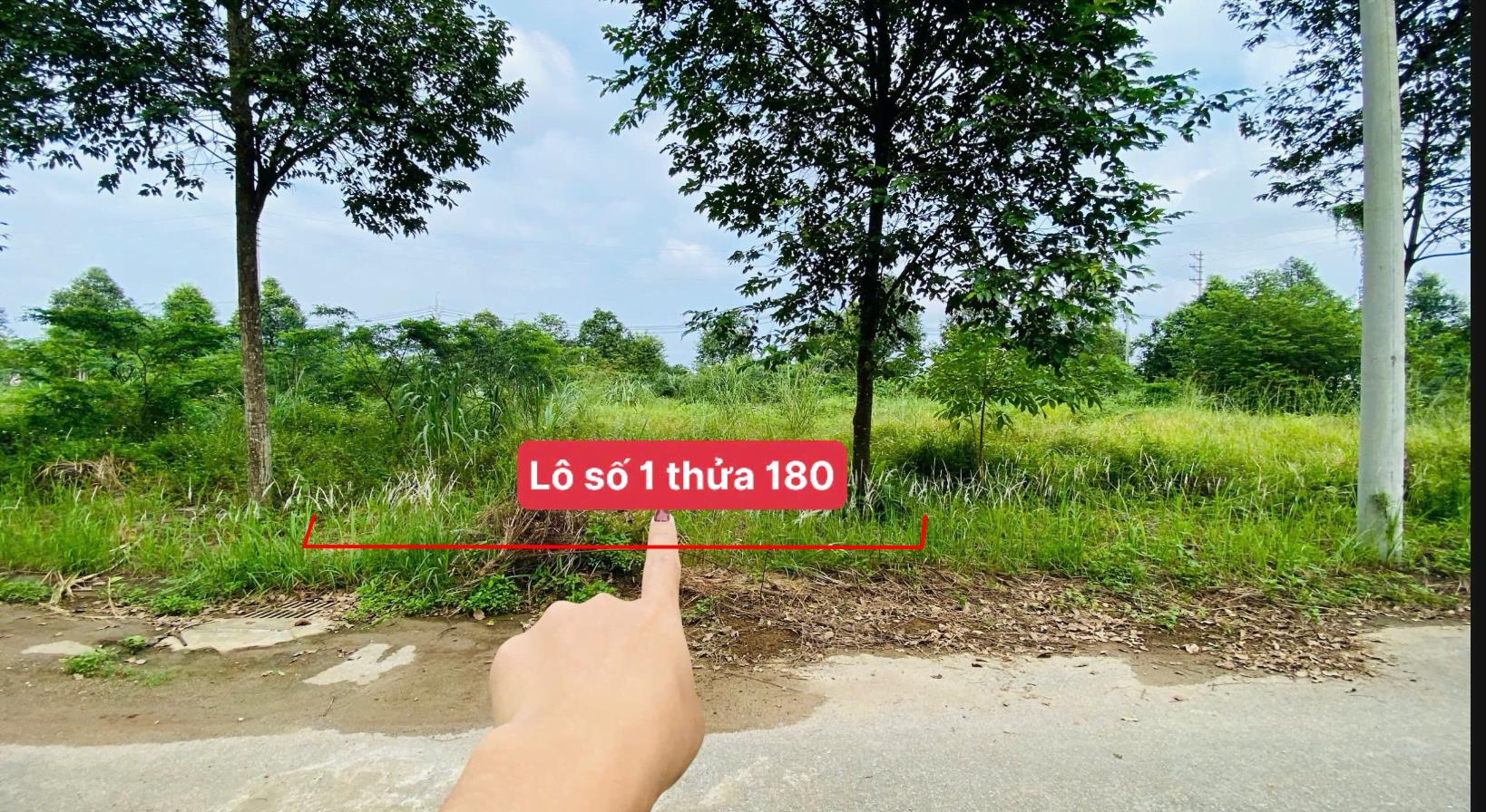 Hình ảnh Bán Lô Đất 100m Tại Cổ Đông Sơn Tây Bám Đường Bê Tông Ô Tô Vào Tận Đất Dân Cư Đông Đúc Thân Thiện  Cách Ql21A 3km Đầu Tư Tiềm Năng Sinh Lời