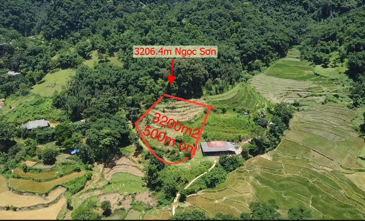 Hình ảnh Bán Lô Đất 3206.4m Tại Ngọc Sơn Lạc Sơn Bám Đường Bê Tông Ô Tô Vào Tận Đất Dân Cư Đông Đúc Thân Thiện Phù Hợp Làm Nghỉ Dưỡng