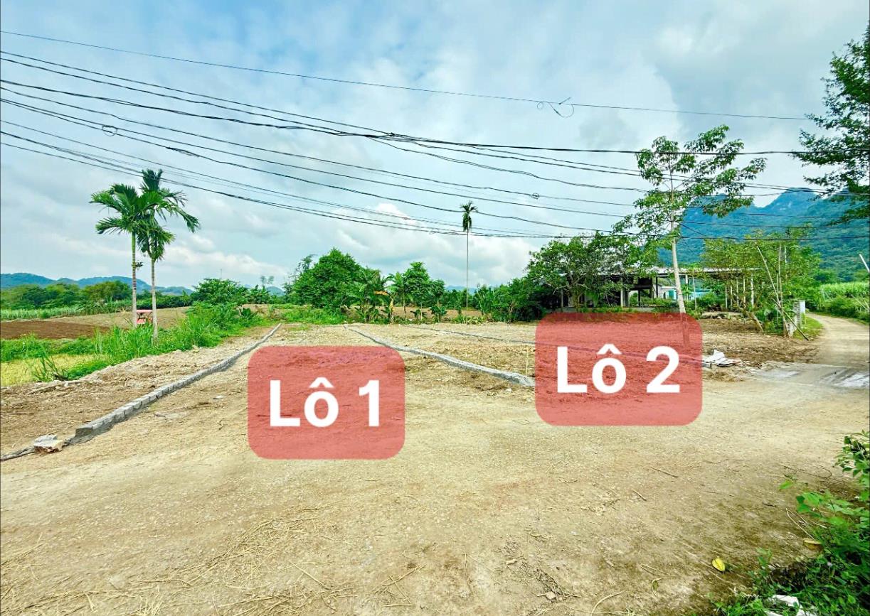 Hình ảnh Bán Lô Đất 191.7m Tại Mỹ Hòa Tân Lạc Bám Đường Bê Tông Ô Tô Vào Tận Đất Dân Cư Đông Đúc Thân Thiện  View Cánh Đồng Thoáng Mát Tiềm Năng Sinh Lời Cao Giá Đầu Tư