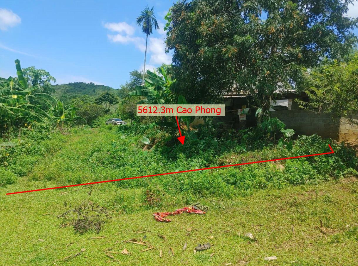 Hình ảnh Bán Lô Đất 5612.3m Tại Cao Phong Bám Đường Bê Tông Ô Tô Vào Tận Đất View Núi Thoáng Mát  Phù Hợp LÀm Nghỉ Dưỡng Giá Đầu Tư