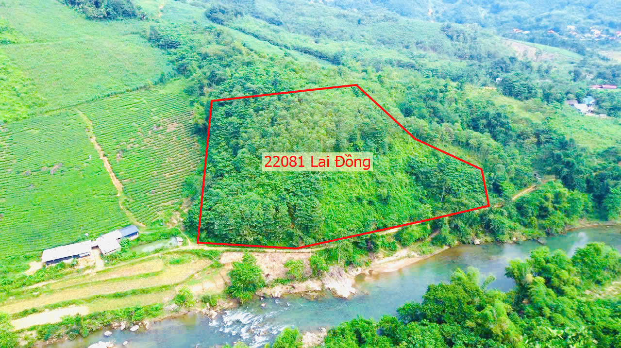 Hình ảnh Bán Đất Lai Đồng Bám Mặt View Suối Cực Đẹp Gần Trung Tâm Xã Lai Đồng Giá Chỉ Vài Trăm Triệu 