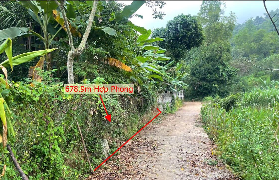 Hình ảnh Bán Lô Đất 678.9m Tại Cao Phong Bám Đường Bê Tông Ô Tô Vào Tận Đất  Xung Quanh Đầy Đủ Tiện Ích Xung Quanh Sổ Đỏ Pháp Lý Rõ Ràng 