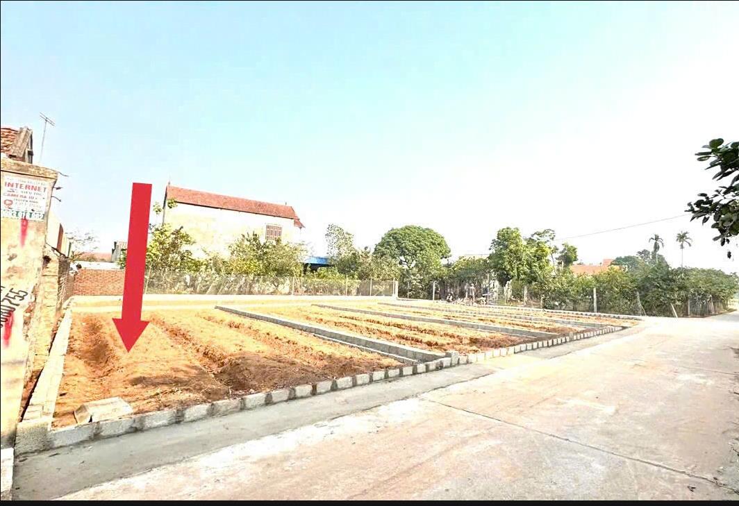 Hình ảnh Bán Lô Đất 67.6m Tại Phạm Hồng Thái Bám Đường Bê Tông Ô Tô Vào Tận Đất  Dân Cư Đông Đúc Thân Thiện Giá Đầu Tư