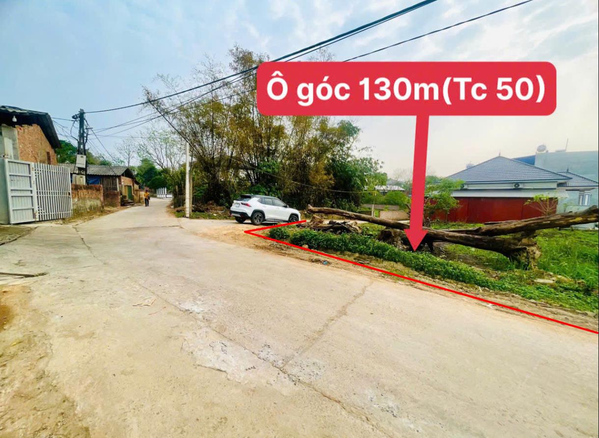 Hình ảnh Bán Lô Đất 130m Tại Tam Quan Tam Đảo Gần Trường Học Gần Chợ  Giá Rẻ