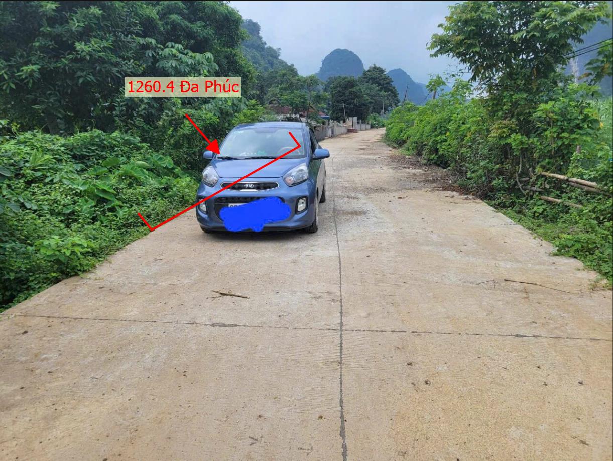 Hình ảnh Bán Thửa Đất 1260.4m Tại Đa Phúc Đường Ô Tô Tránh Gần Trục Kinh Doanh Giá Chỉ Hơn 2 Tỷ