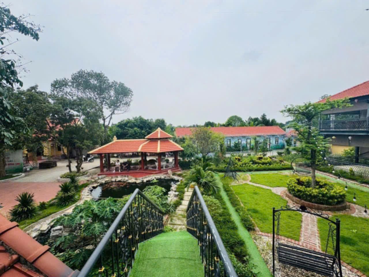 Hình ảnh Bán Lô Đất 1972m Tại Cổ Đông Sơn Tây Bám Đường Bê Tông Ô Tô Vào Tận Đất Dân Cư Đông Đúc Sẵn Biệt Thự Nghỉ Dưỡng Giá Đầu Tư