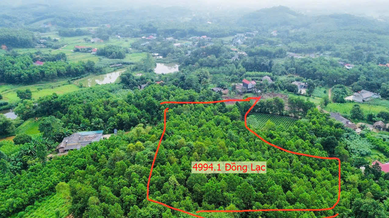 Hình ảnh Bán Đất Đồng Lạc Gần Mặt Đường TL313D Ngay Trung Tâm Xã Đồng Lạc Giá Chưa Đến Tỷ 