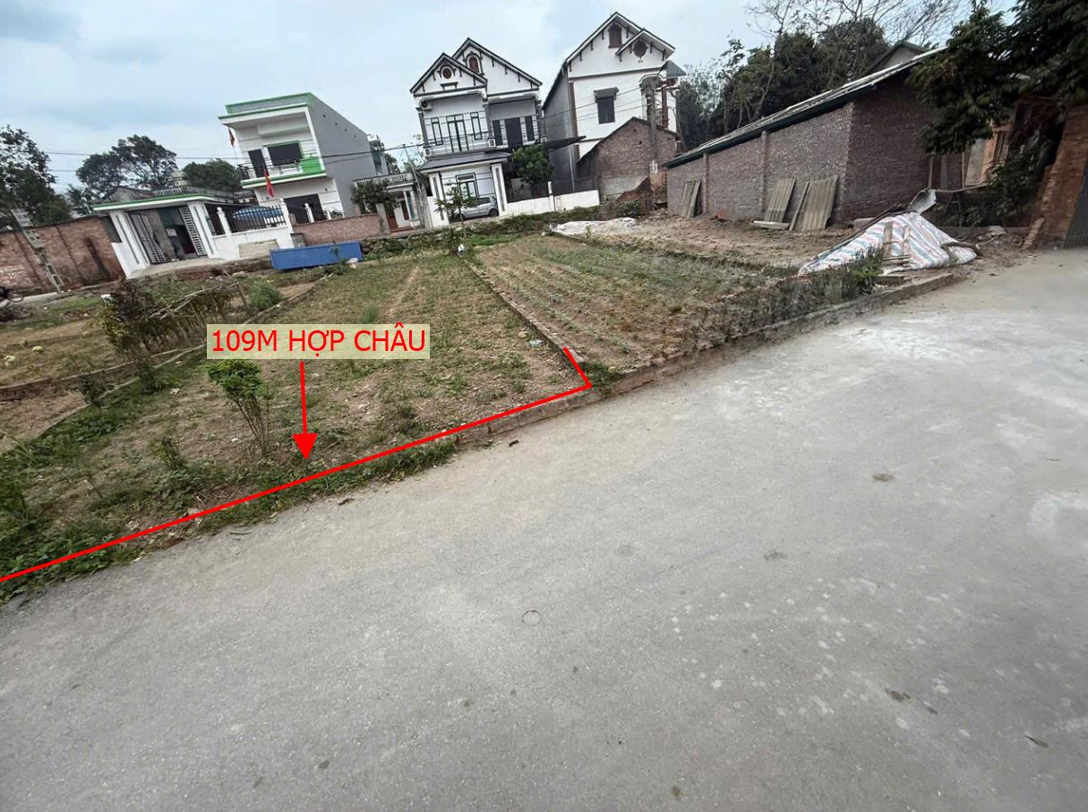Hình ảnh Bán Lô Đất 109m Tại Hợp Châu Tam Đảo Ô Tô Vào Tận Đất Đầy Đủ Tiện Ích Xung Quanh Giá Đầu Tư