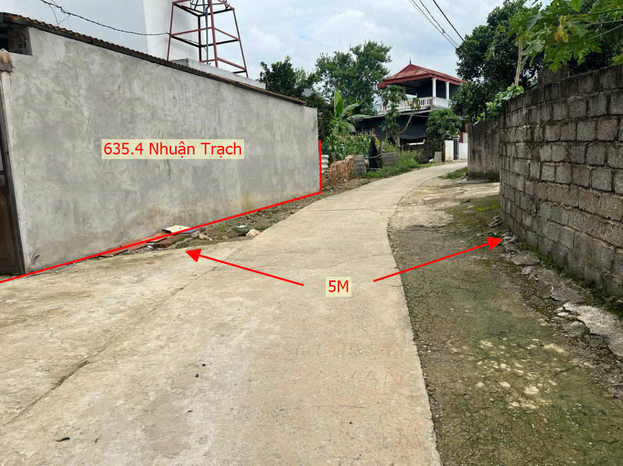 Hình ảnh Bán Đất Tặng Nhà 2 Tầng Ô Tô Vào Tận Đất View Hồ Thự Nhiên Cực Đẹp Tại Nhuận Trạch 