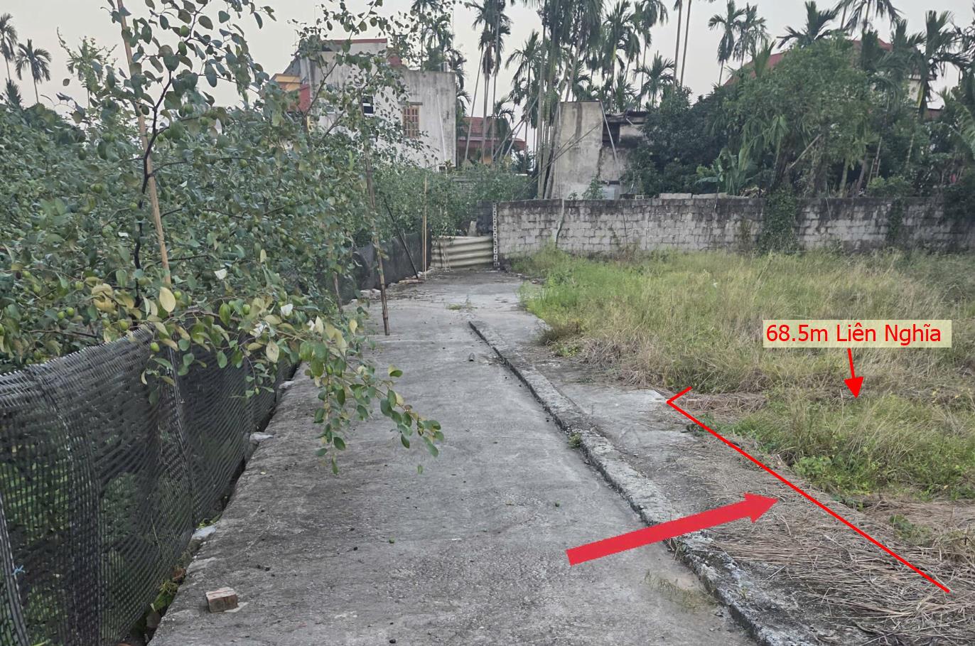 Hình ảnh Bán Lô Đất 68.5m Tại Liên Nghĩa Văn Giang Bám Đường Be Tông Ô Tô Vào Tận Đất Dân Cư Đông Đúc Thân Thiện Giá Đầu Tư