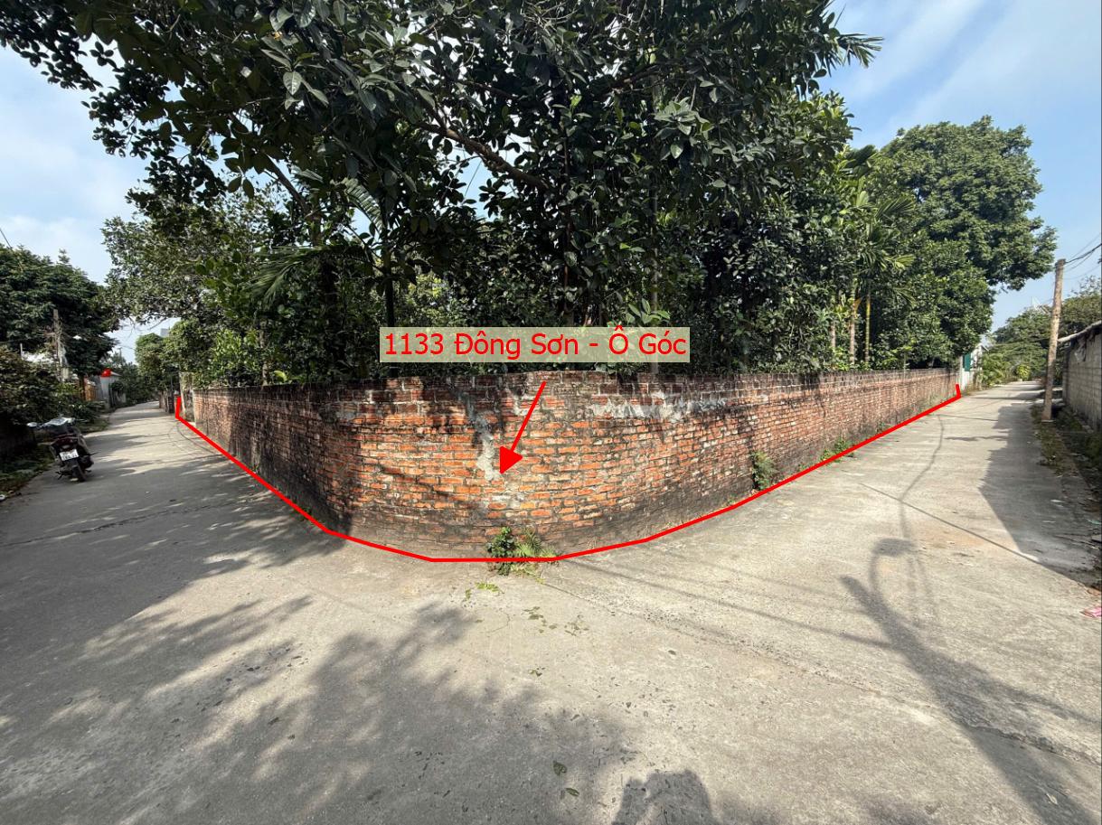 Hình ảnh Bán Lô Góc 2 Mặt Tiền 1133m Tại Đông Sơn Sát Trục Kinh Doanh Liên Xã Gần QL6A Đang Triển Khai Mở Rộng