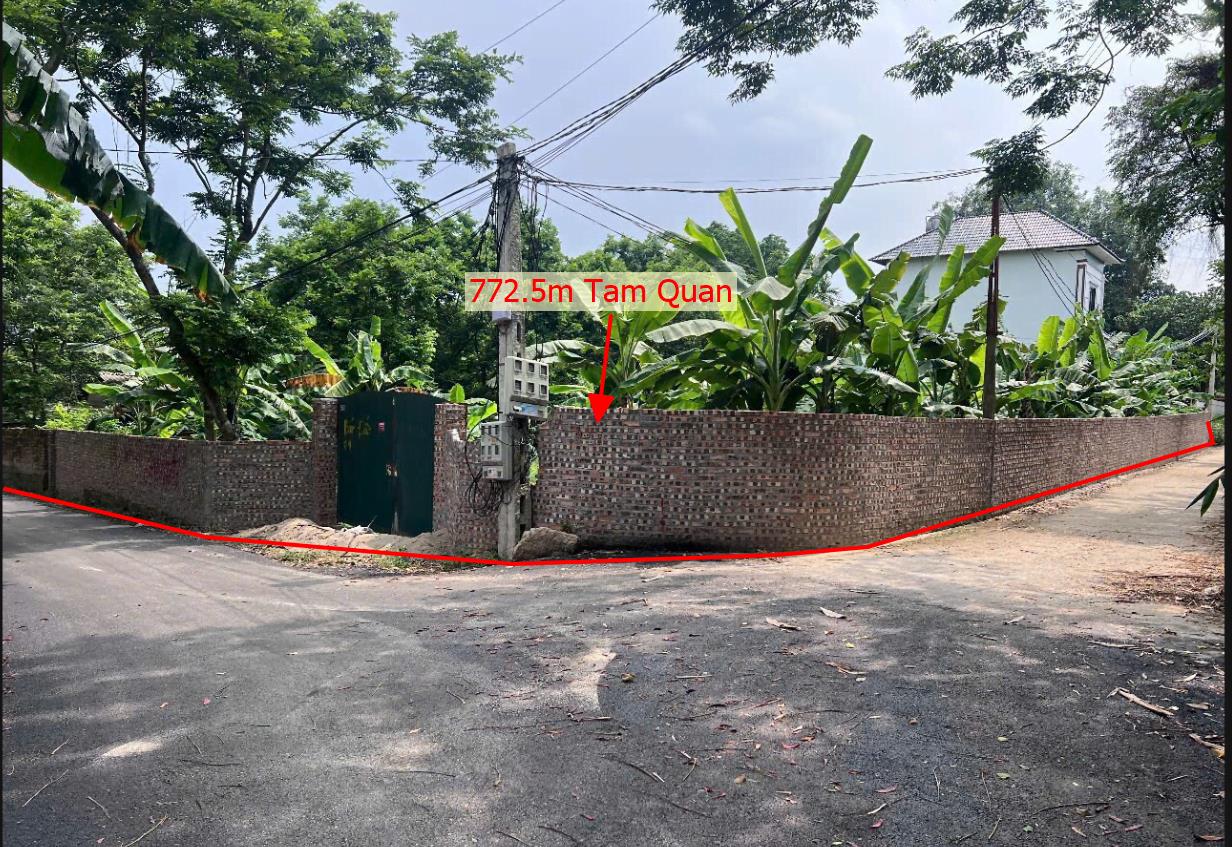 Hình ảnh Bán Lô Đất 772.5m Tại Tam Quan Tam Đảo Bám Đường Bê Tông Ô Tô Vào Tận Đất Dân Cư Đông Phù Hợp Phân Lô Giá Đầu Tư