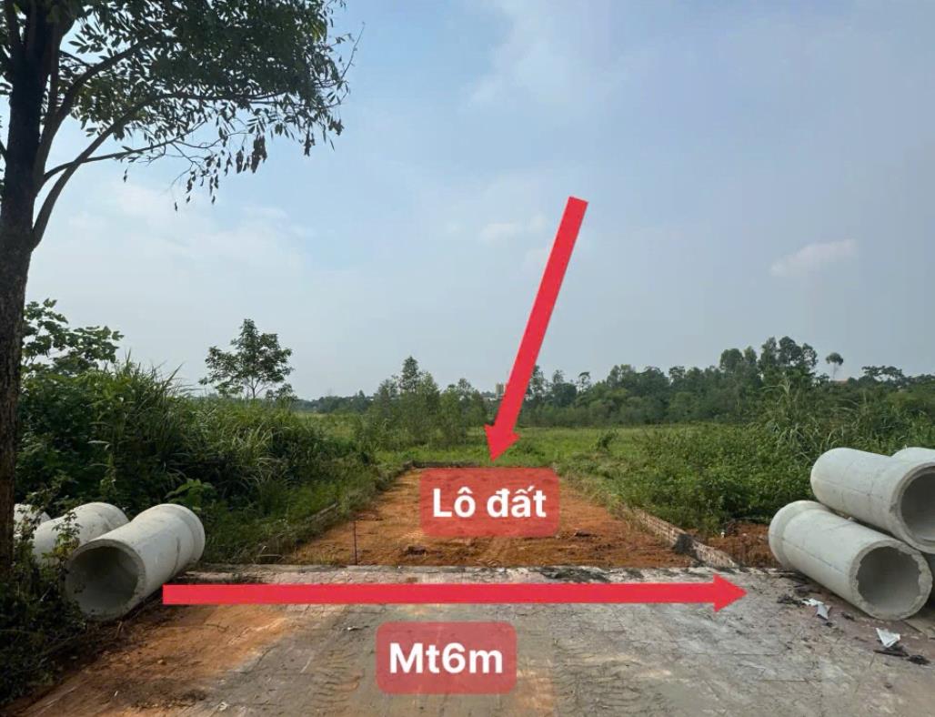 Hình ảnh Bán Lô Đất 102m Tại Định Trung Vĩnh Yên Bám Đường Bê Tông Ô Tô Vào Tận Đất Dân Cư Đông Đúc Thân Thiện Giá Đầu Tư