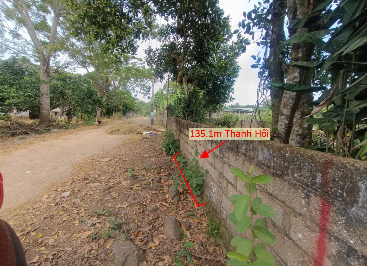 Hình ảnh Bán Lô Đất 131.6m Tại Thanh Hối Tân Lạc Bám Đường Bê Tông Ô Tô Vào Tận Đất Dân Cư Đông Đúc Thân Thiện Gần Chợ Trường Học Ủy Ban Giá Đầu Tư