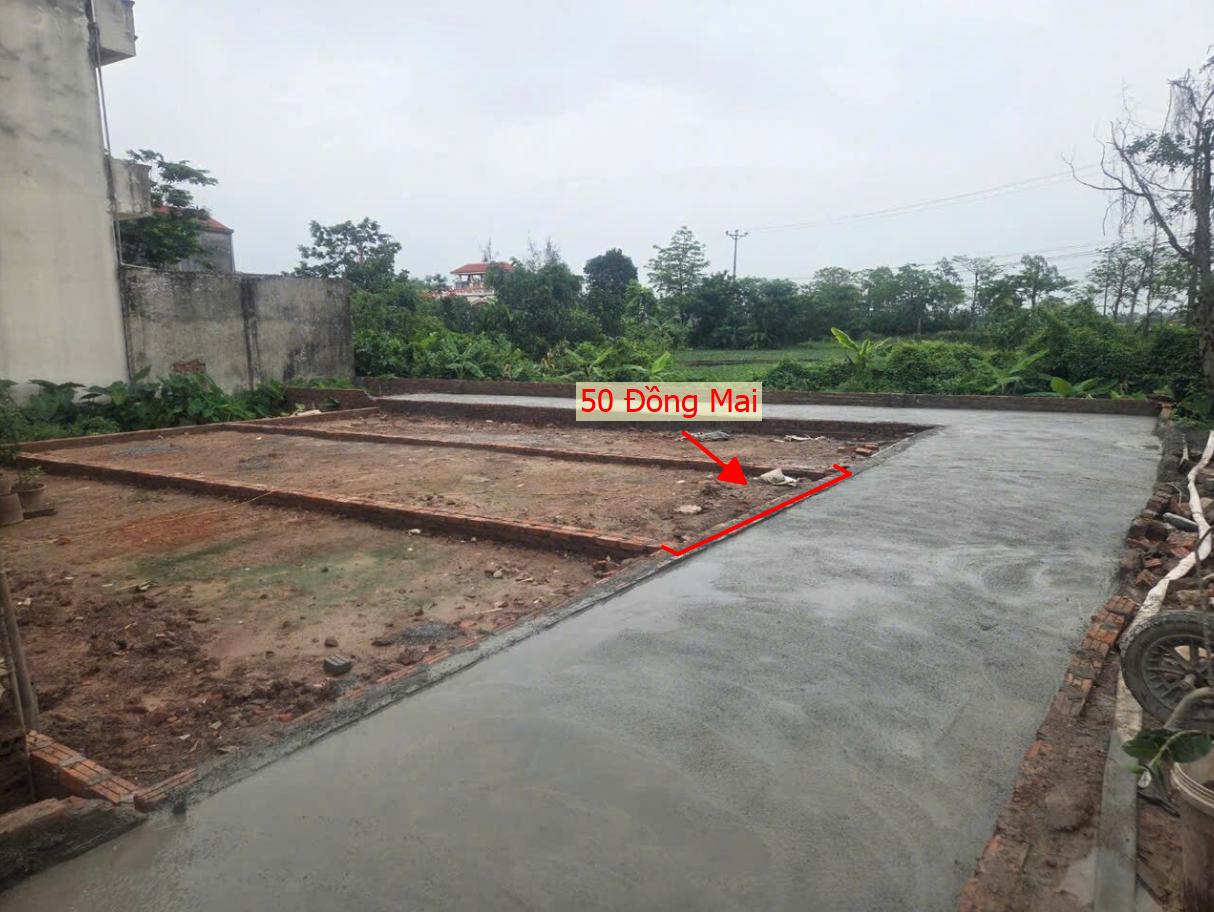 Hình ảnh Bán Đất Phân Lô Khu Vực Đồng Mai Sát Trục Chính Kinh Doanh Liên Xã Ngay Cạnh Khu Dịch Vụ Sinh Thái Đồng Mai