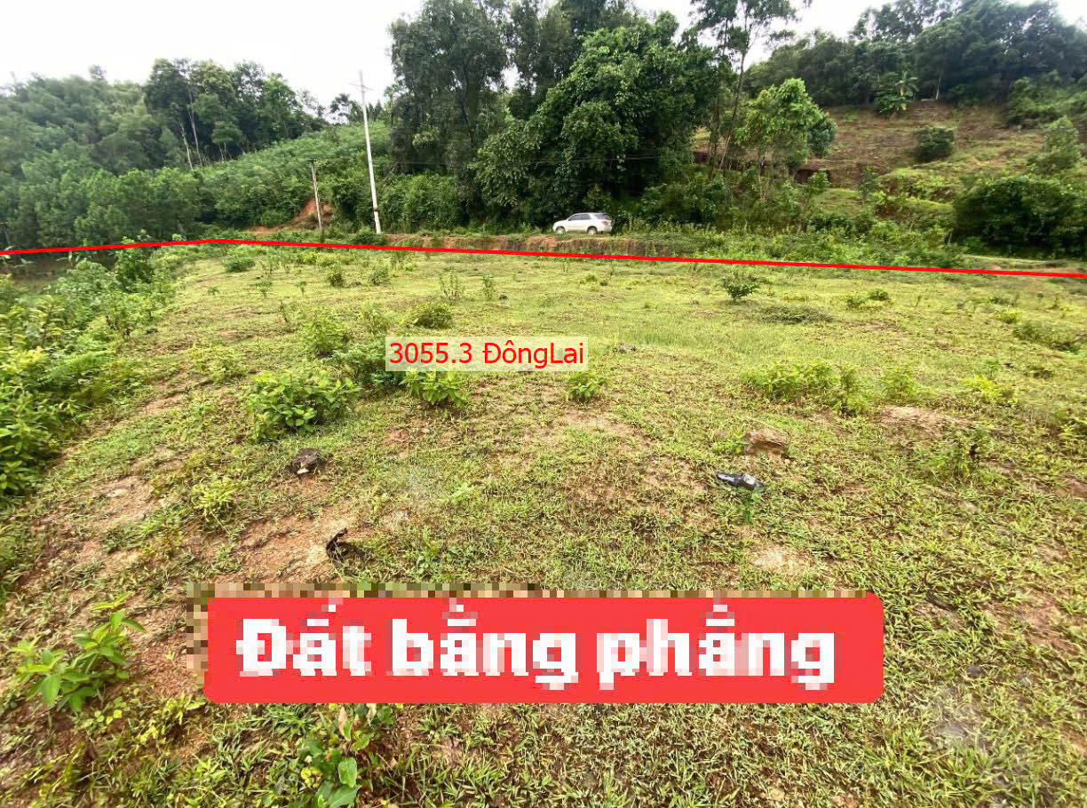 Hình ảnh Bán Đất Đông Lai Ô Tô Vào Tận Đất Gần QL21B Ngay Trung Tâm Xã Đông Lai Giá Chỉ Vài Trăm Triệu 