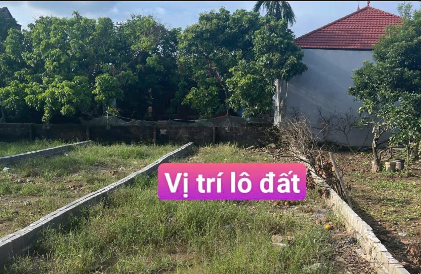 Hình ảnh Bán Lô Đất 78.6m Tại An Vĩ Khoái Châu Bám Đường Bê Tông Ô Tô Vào Tận Đất Dân CƯ Đông Đúc Sát Trục Chính Kinh Doanh  Gần Chợ Trường Học Giá Đầu Tư