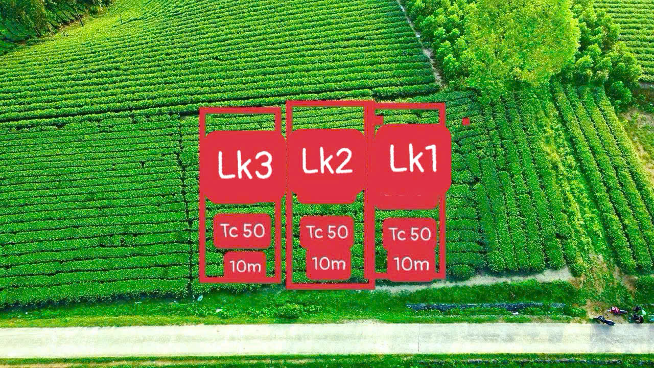 Hình ảnh Bán Lô Đất 282m Tại Võ Miếu Thanh Sơn Bám Đường Bê Tông Ô Tô Vào Tận Đất View Cánh Đồng Thoáng Mát