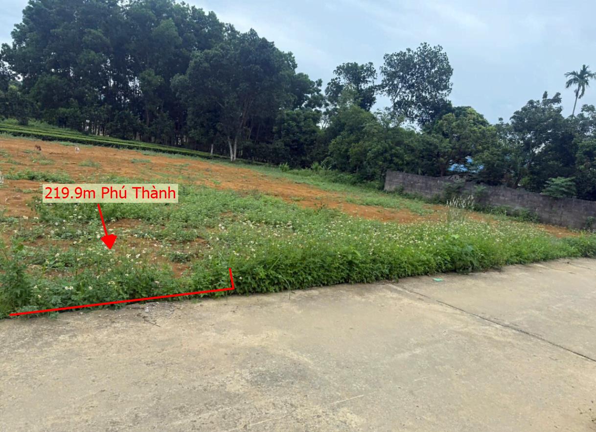Hình ảnh Bán Lô Đất 219.9m Tại Phú Thành Lạc Thủy Bám Đường Bê Tông Ô Tô Vào Tận Đất Cách QL21a 400m Xung Quanh Đầy Đủ Tiện Ích Giá Đầu Tư
