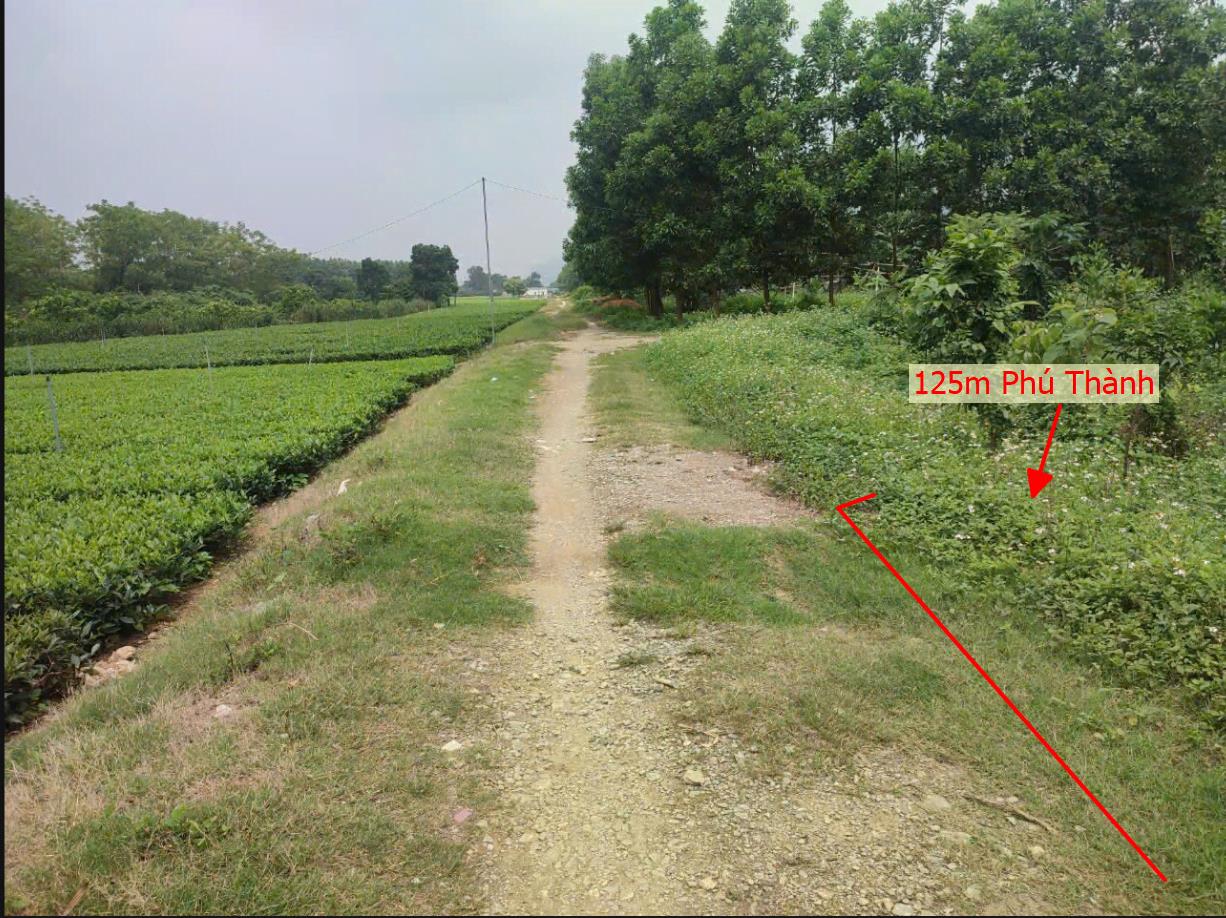 Hình ảnh Bán 125m Tại Phú Thành Lạc Thủy Bám Đường Bê Tông Ô Tô Vào Tận Đất Dân Cư Đông Đúc Thân Thiện  Cách QL21a 20m Giá Đầu Tư