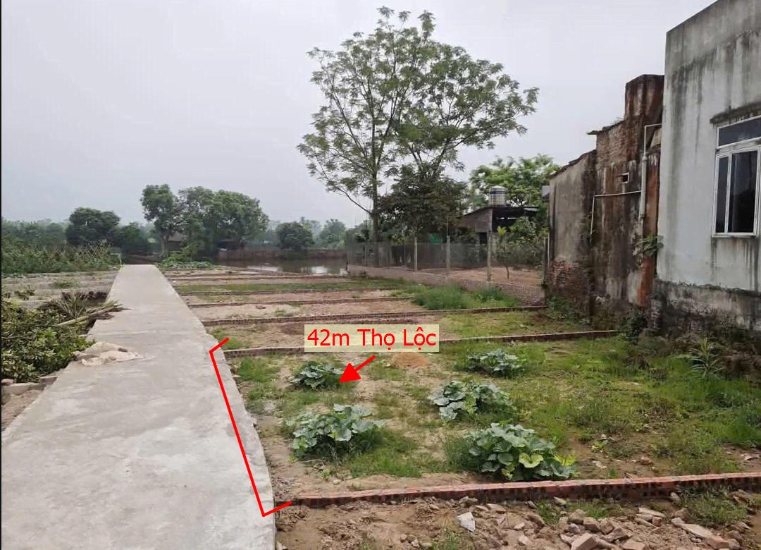 Hình ảnh Bán Lô Đất 42m Tại Thọ Lộc Phúc Thọ Bám Đường Bê Tông Ô Tô Vào Tận Đất Dân Cư Đông Đúc Gần Trục Kinh Doanh