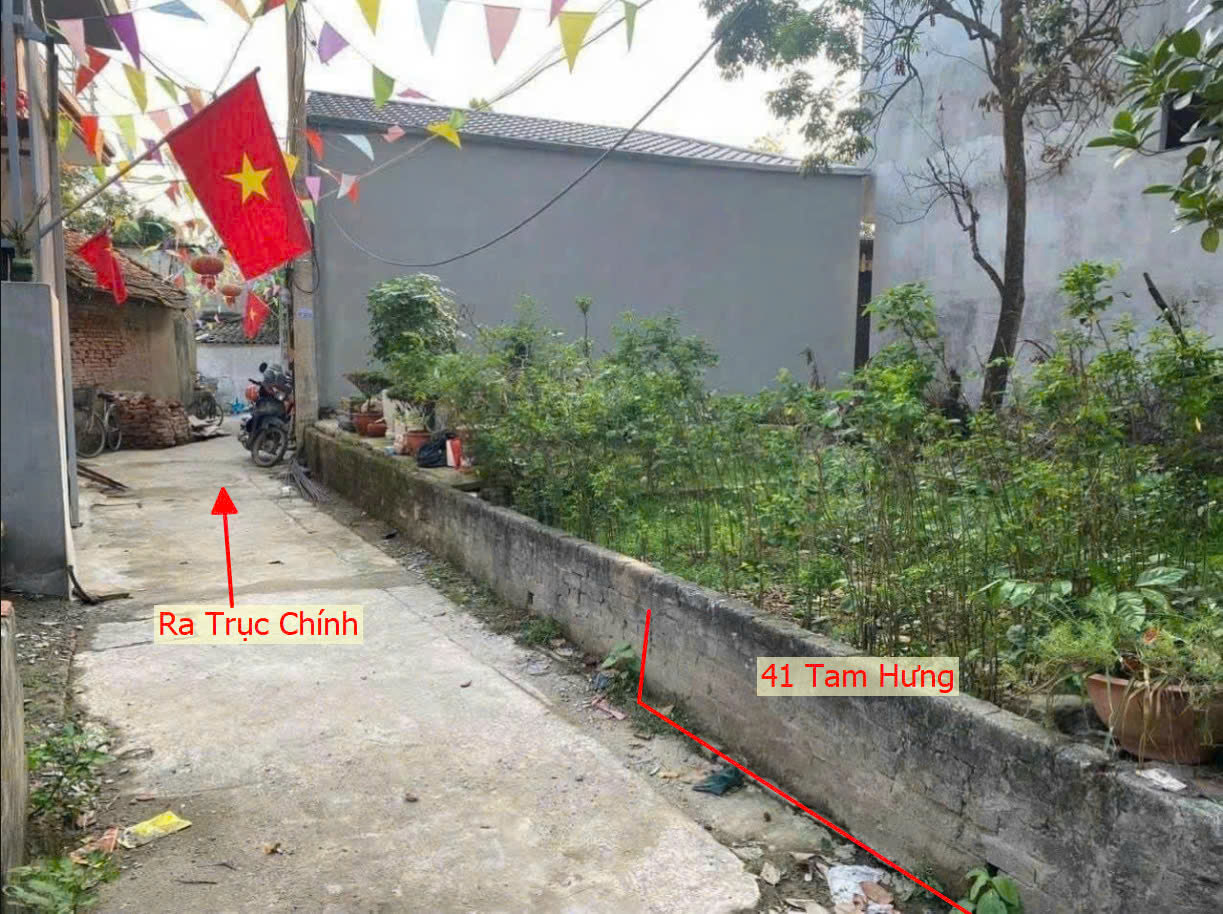 Hình ảnh Bán Đất Tam Hưng Sát Trục Chính Kinh Doanh Liên Xã Ngay Trung Tâm Hành Chính Xã Tam Hưng 