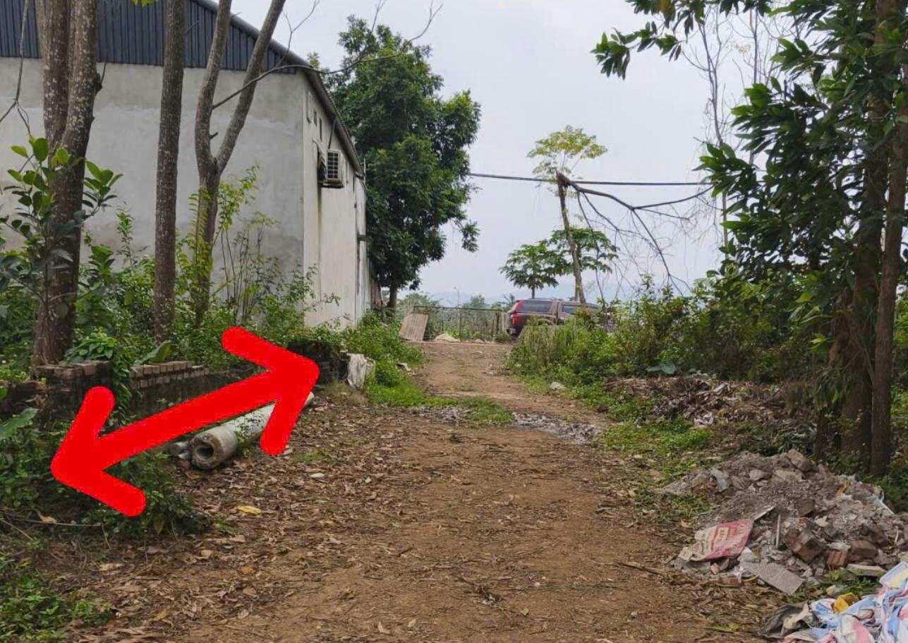 Hình ảnh Bán Đất Full Thổ Cư 209m Tại Đồng Trục Ô Tô Vào Tận Đất Sát Trục Chính Kinh Doanh Liên Xã