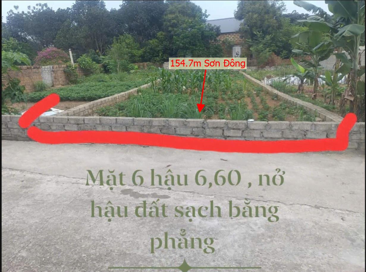 Hình ảnh Bán Lô Đất 154.7m Tại Sơn Đông Sơn Tây Bám Đường Bê Tông Ô Tô Vào Tận Đất Dân Cư Đông Đúc Giá Đầu Tư