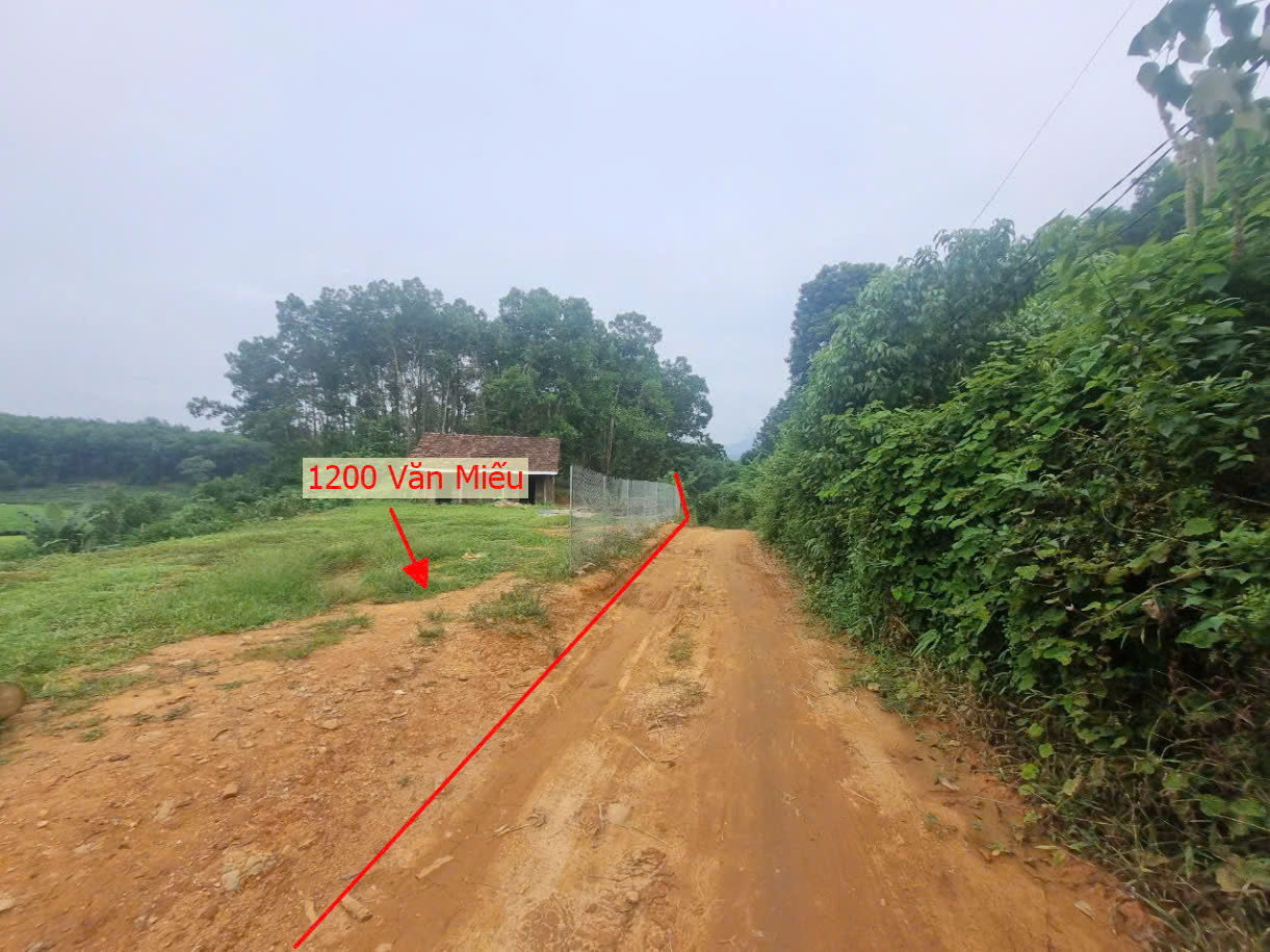 Hình ảnh Bán Đất Văn Miếu Thanh Sơn Ô Tô Đỗ Tận Đất Gần Trục Chính Kinh Doanh Giá Chưa Đến Tỷ 