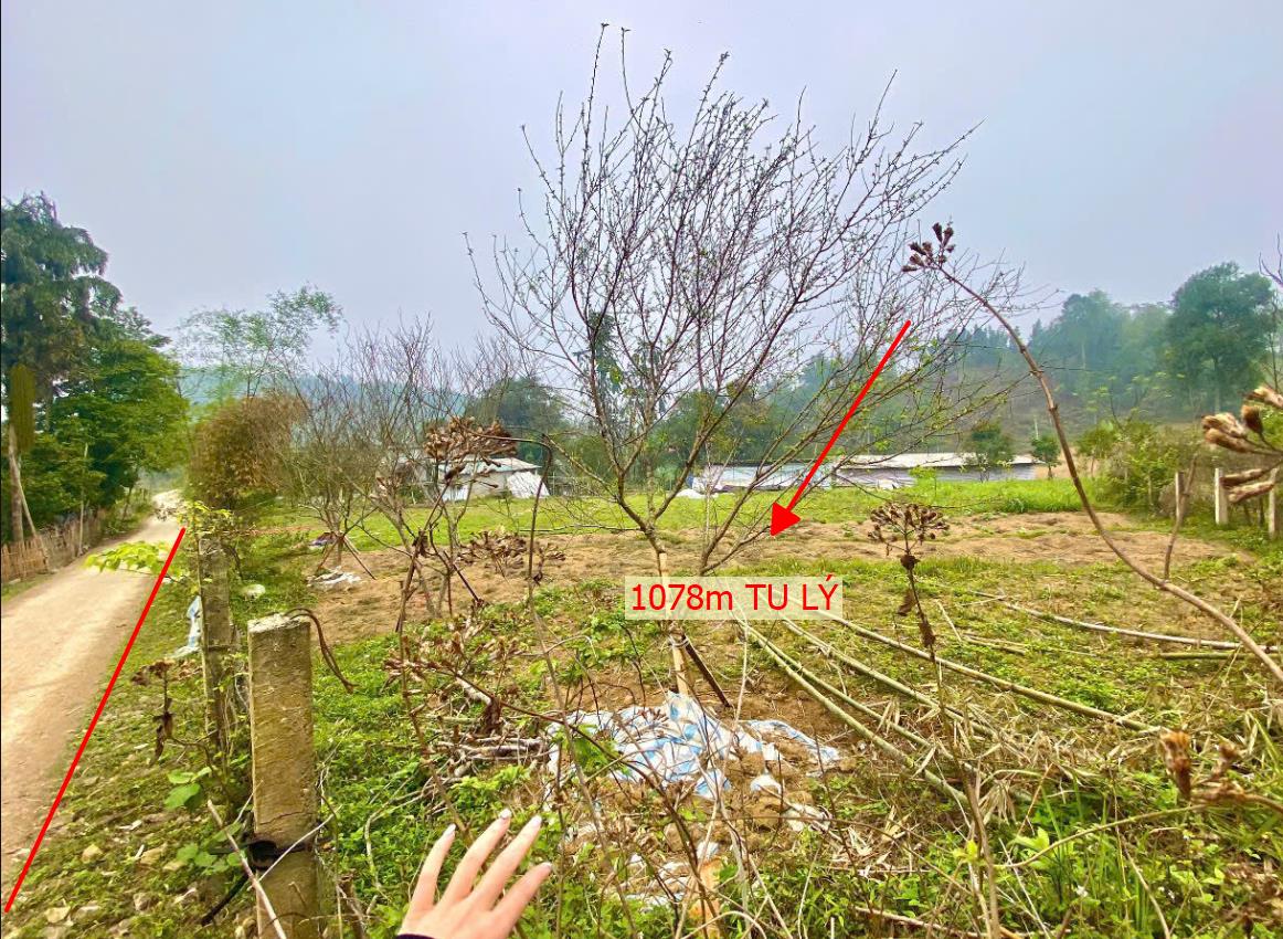 Hình ảnh Bán Lô Đất Nghỉ Dưỡng Hơn 1000m  Tại Tu Lý Đà Bắ Bám Đường Bê Tông Ô Vào Tận Đất Giá Chỉ Vài Trăm Triệu