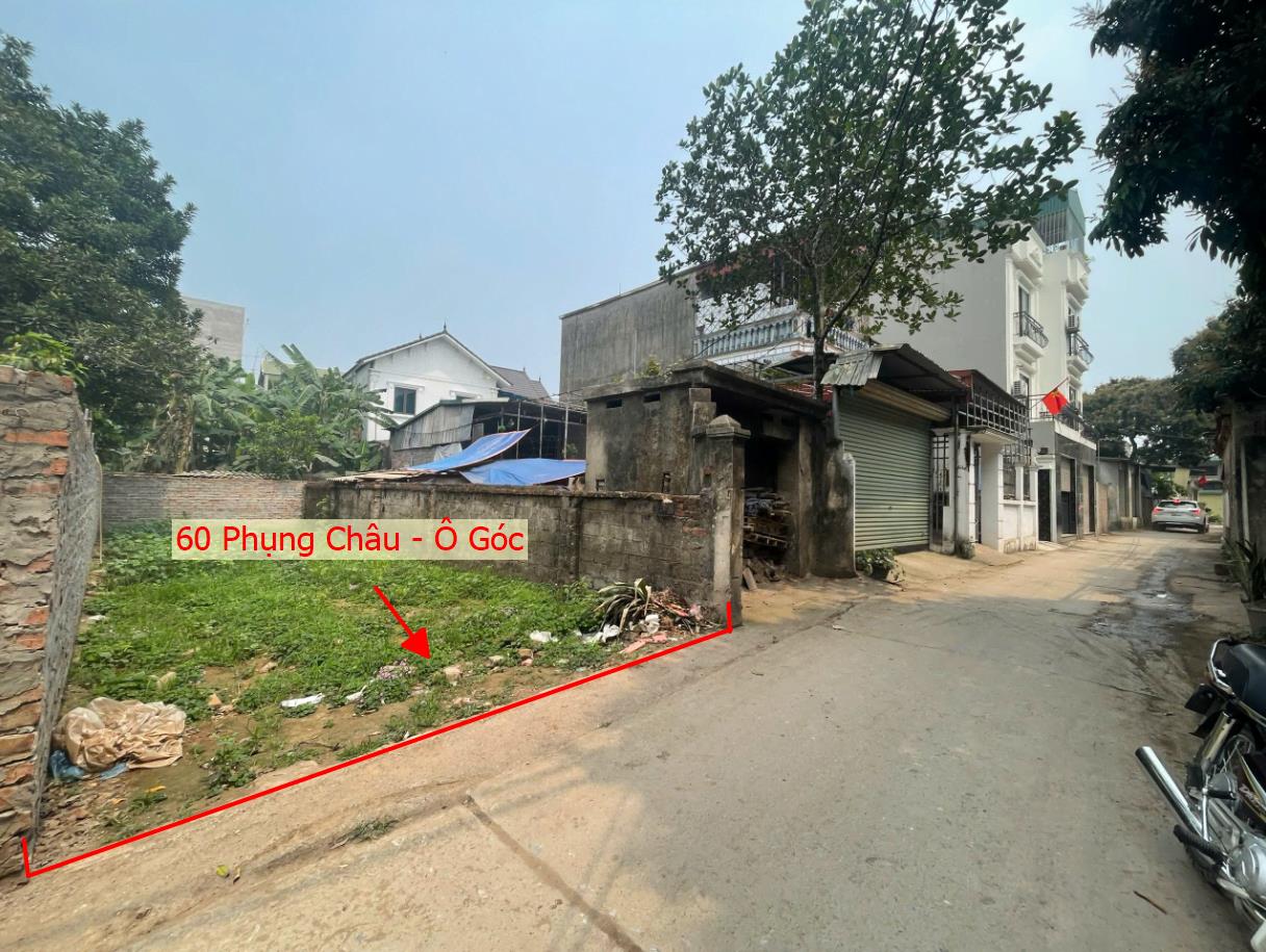 Hình ảnh Bán Lô Góc Full Thổ Cư Tại Phụng Châu Cách Trường TDTT Chỉ Vài Bước Chân Oto Vào Tận Đất