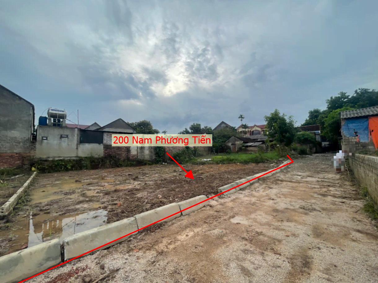Hình ảnh Bán Đất Full Thổ Cư 200m Tại Nam Phương Tiến Ô Tô Đỗ Tận Đất Sát Trục Chính Kinh Doanh 