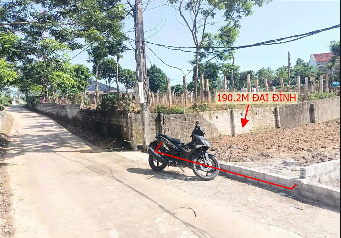Hình ảnh Bán Lô Đất 190.2m Tại Đại Đình Tam Đảo Bám Đường Bê Tông Ô Tô Vào Tận Đất Dân Cư Đông Đúc Giá Đầu Tư