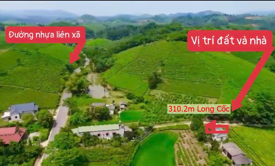 Hình ảnh Bán Lô Đất 310.2m Tại Long Cốc Tân Sơn Bám Đường Bê Tông Ô Tô Vào Tận Đất Dân Cư Đông Đúc Giá Đầu Tư