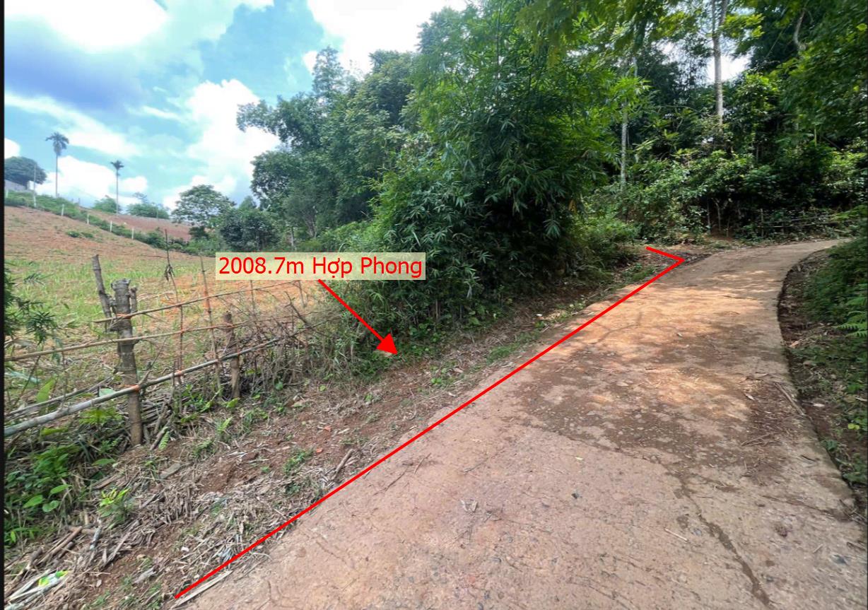 Hình ảnh Bán Lô Đất 2008.7m Tại Hợp Phong Cao Phong Bám Đường Bê Tông Ô Tô Vào Tận Đất Phù Hợp Làm Nghỉ Dưỡng View Thoáng Mát Giá Đầu Tư