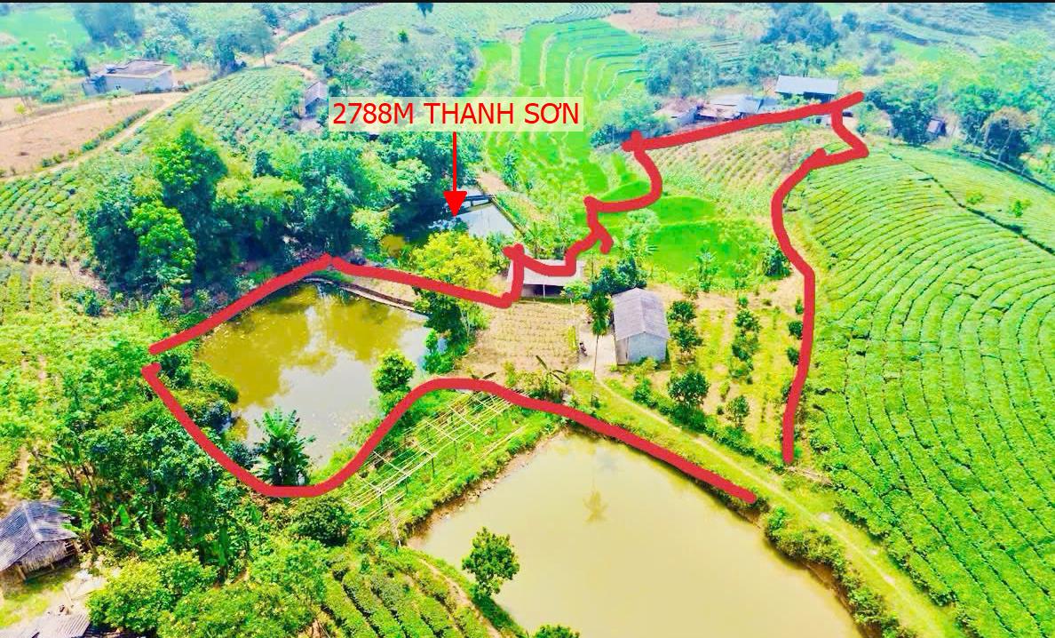 Hình ảnh Bán Lô Đất Nghỉ Dưỡng  2877m Tại Thanh Sơn View Thoáng Mát Quanh Năm Xung Quanh Đầy Đủ Tiện Ích Giá Đầu Tư 