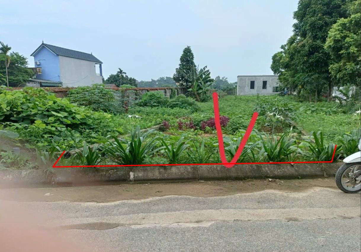 Hình ảnh Bán Lô Đất 61.6m Tại Đồng Trúc Thach Thất Bám Đường Bê Tông Ô Tô Vào Tận Đất Dân Cư Đông Dúc Thân Thiện Giá Rẻ Đầu Tư Sinh Lời