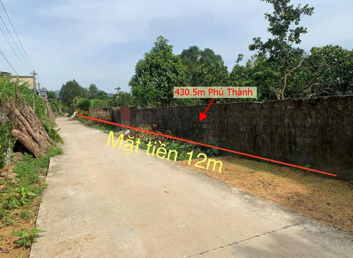Hình ảnh Bán Lô Đất 430.5m Tại Phú Thành Lạc Thủy Bám Đường Bê Tông Ô Tô Vào Tận Đất Dân Cư Đông Đúc Phù Hợp Phân Lô Giá Đầu Tư