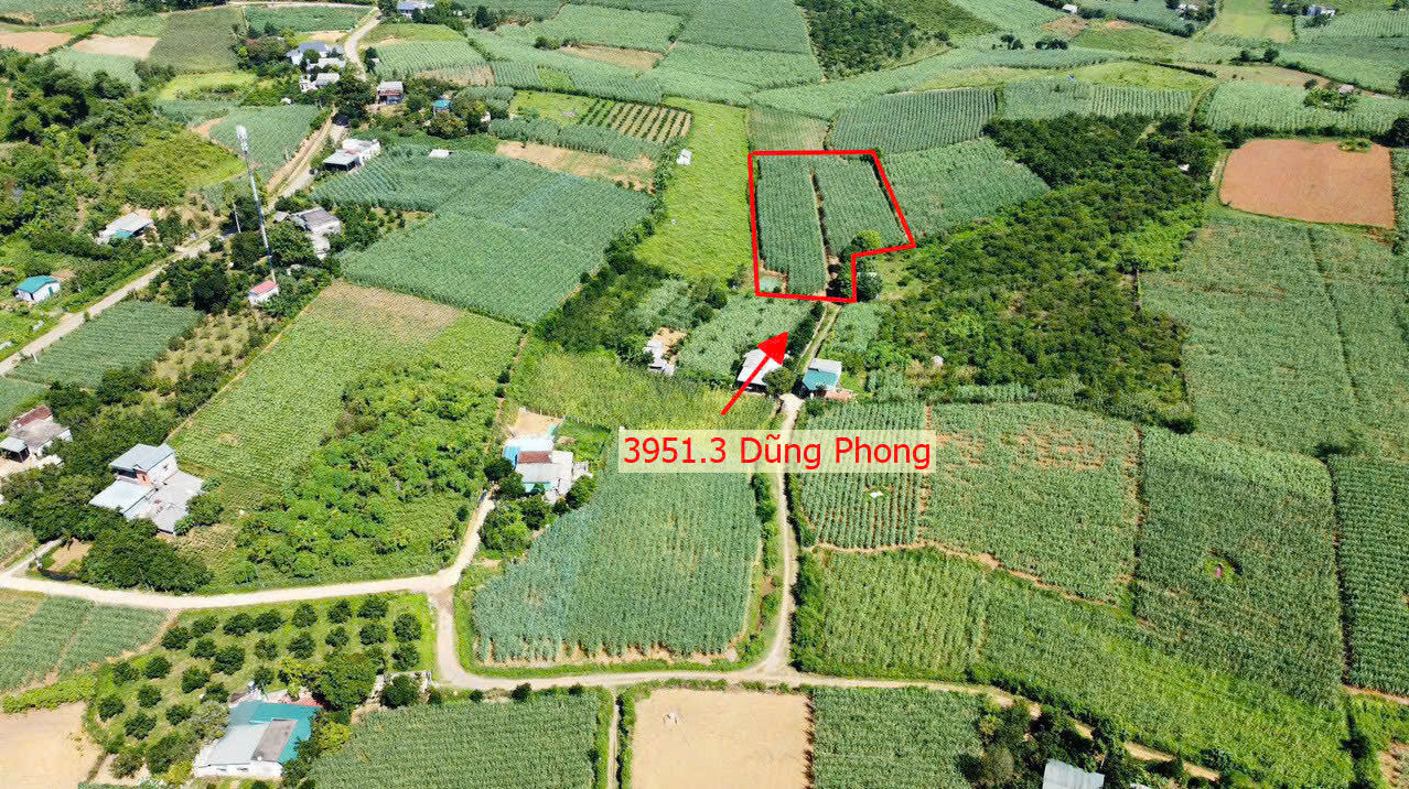 Hình ảnh Bán Đất Dũng Phong Ô Tô Vào Tận Đất Gần Trục Chính Kinh Doanh Gần Trung Tâm Xã Dũng Phong