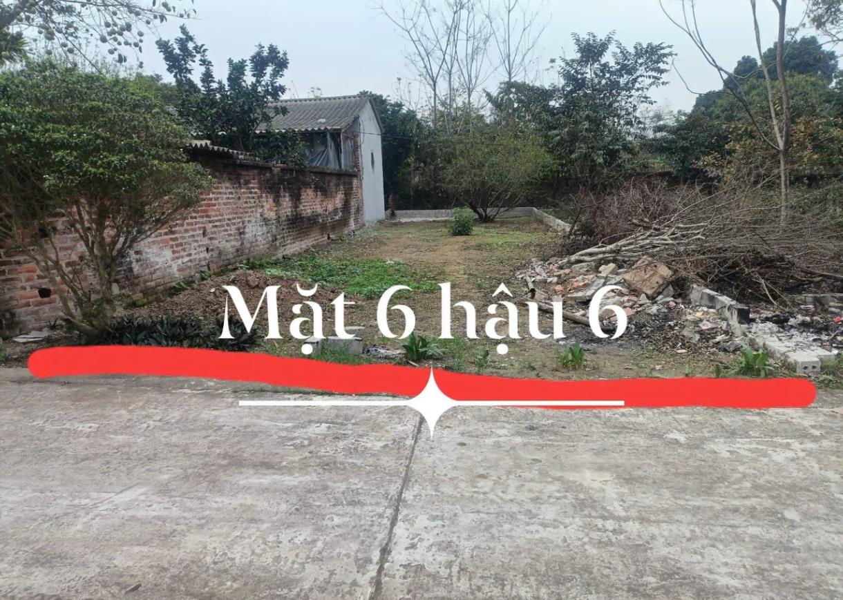 Hình ảnh Bán Lô Đất 184.4m Tại Cổ Đông Sơn Tây Bám Đường Bê Tông Ô Tô Vào Tận Đất Dân Cư Đông  Sát Trường Sĩ Quan Lục Quân 