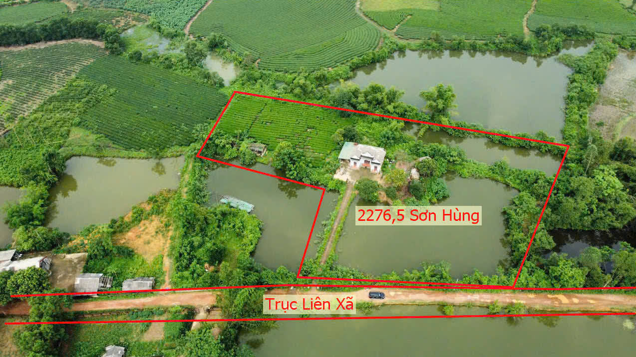 Hình ảnh Bán Đất Nghỉ Dưỡng Sẵn Nhà Có Hồ Tự Nhiên Thoáng Mát Bám Mặt Đường Liên Xã Tại Sơn Hùng 