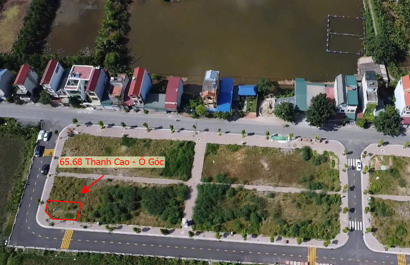 Hình ảnh Bán Đất Đấu Giá Khu Ngõ Ba Thanh Cao Sát Mặt Đường Kinh Doanh Liên Xã - Đất Đấu Giá Thanh Cao 