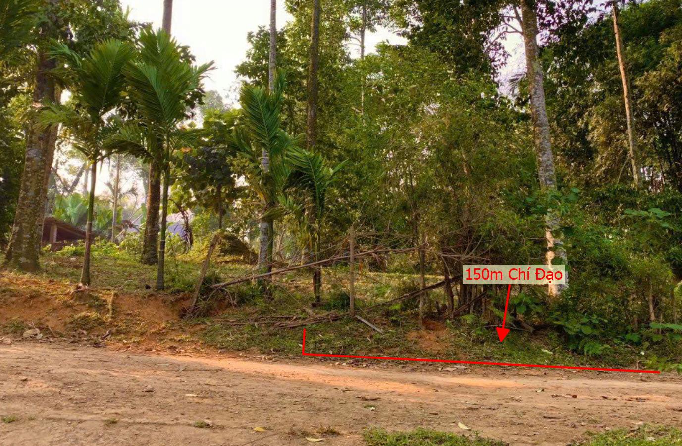 Hình ảnh Bán Lô Đất 150m Tại Chí Đạo Lạc Sơn Bám Đường Bê Tông Ô Tô Vào Tận Đất View Thoáng Mát Giá Đầu Tư