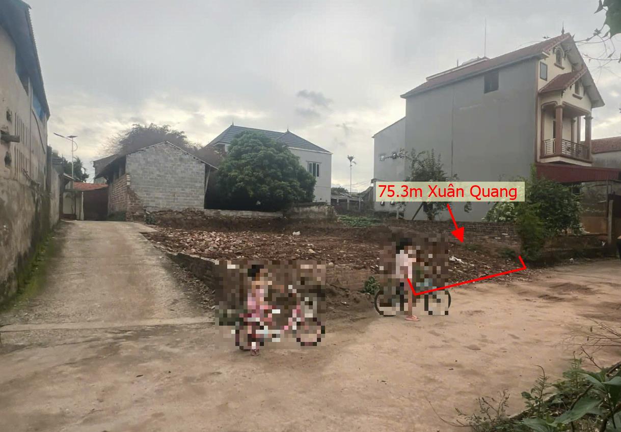 Hình ảnh Bán Lô Đất 75.3m Tại  Văn Giang Bám Đường Bê Tông Ô Tô Vào Tận Đất Gần Chợ Trường Học Xung Quanh Đầy Đủ Tiện Ích Giá Đầu Tư