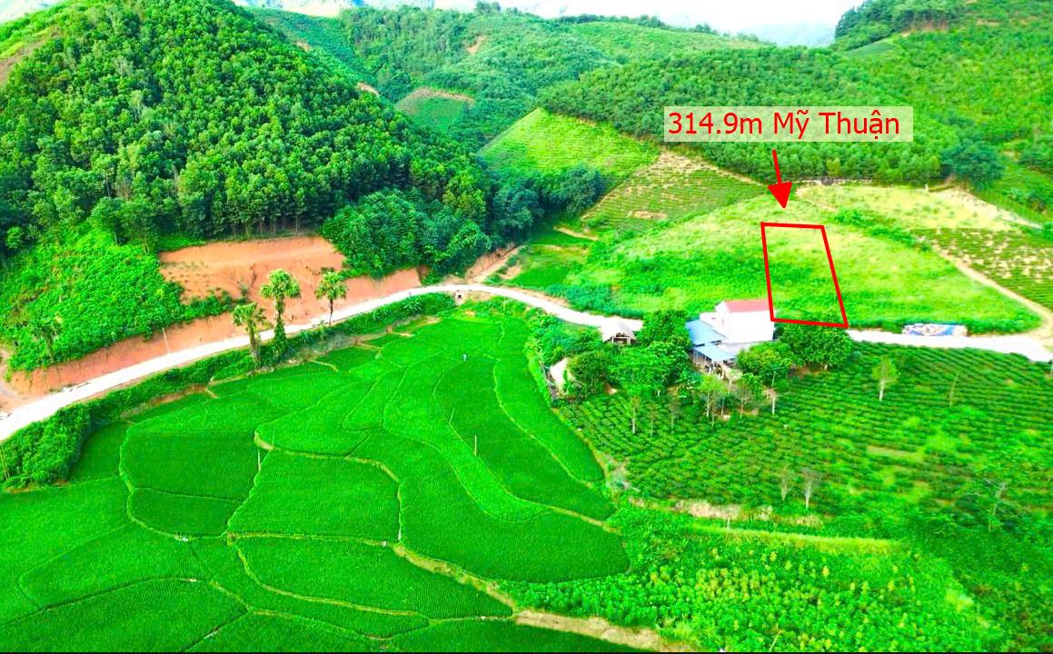 Hình ảnh Bán Lô Đất 312.9m Tại Mỹ Thuận Tân Sơn Bám Đường Liên Huyện Ô Tô Tránh Nhau View Thoáng Mát Khu Dân Cư Thân Thiện An Ninh Tốt Giá Đầu Tư